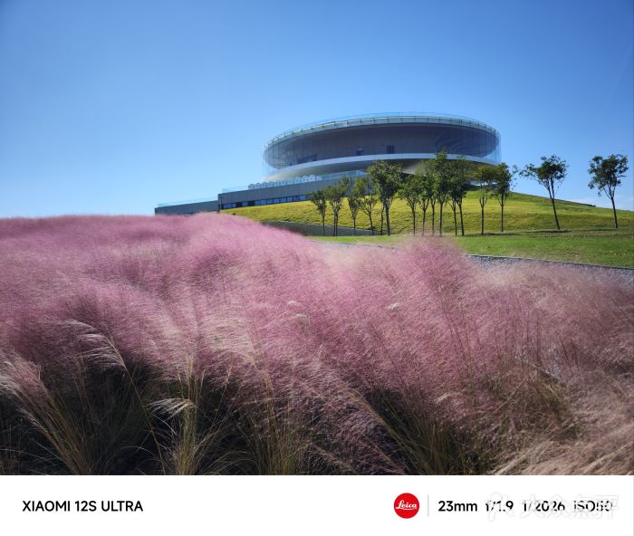 北龙湖湿地公园图片