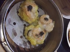 糖朝-糖朝(尖沙咀店)