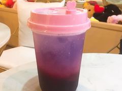 -Husky Go! 哈士奇体验馆·宠物咖啡厅狗咖