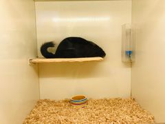 -龙猫仔乐园(惠福东路店)