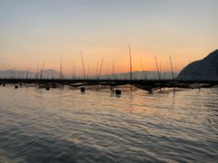 -北岐滩涂