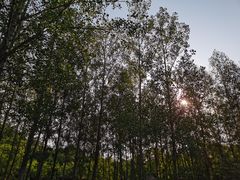 -北京山里寒舍度假酒店