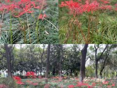 -白塘生态植物园