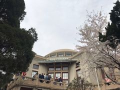 -武汉大学-樱园