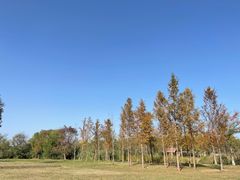 -良渚古城遗址公园