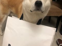 -三宅一生 ISSEY MIYAKE(北京SKP店)