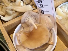 -阿婆情腊排骨火锅·野生菌季(古城旗舰店)