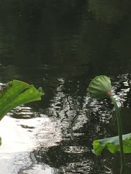-康慧轩新中式养生·头疗SPA美容