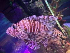 -沈阳海洋探索中心