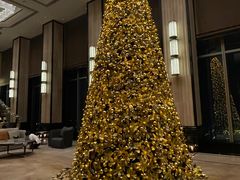 -Social 秀西餐厅-长沙瑞吉酒店(运达店)