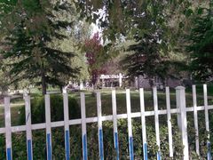 -罗布林卡