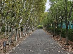 -华东政法大学(松江校区)