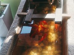 -冯记白土岗辣子鸡