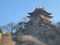 -佬土鹅肠火锅(解放路店)