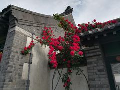-戚继光故里