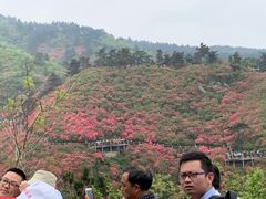 -木兰云雾山