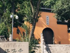 -鸡鸣赐茶(鸡鸣寺路店)