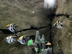 -台州海洋世界