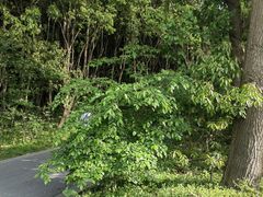 -同里国家湿地公园