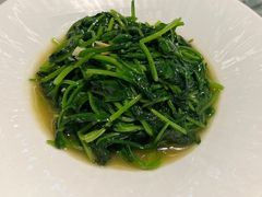 蒜蓉土菠菜-披云云小馆·味道江湖(姚家园万象汇店)