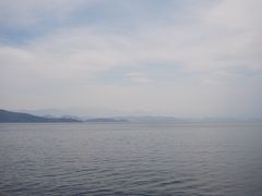-才村湿地公园