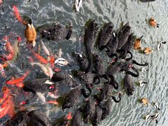 -泉州海丝野生动物世界