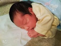 -大美母婴月子中心