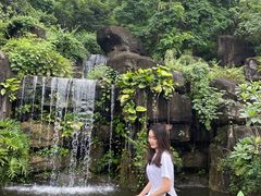 -广州神农草堂中医药博物馆