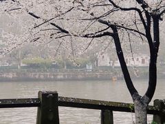 -运河游船(武林门码头)