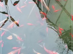 -聚缘堂·海鲜私房菜(松岭路店)