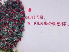 -北京凤凰岭