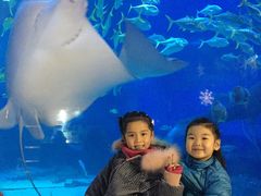 -烟台海昌鲸鲨海洋公园