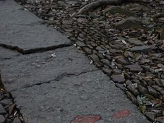 -西湖风景区十里琅珰-五云山