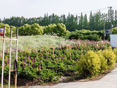 -嘉北郊野公园