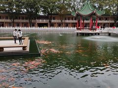 -广东圆玄道观