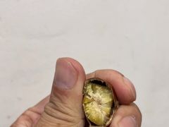 -杨记板栗(天虹总店)