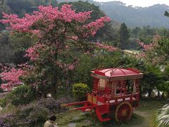 -广东天露山旅游度假区