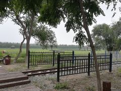 -西青郊野公园