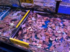 -四海之家(蛇口店)