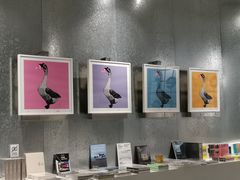 -上海当代艺术博物馆