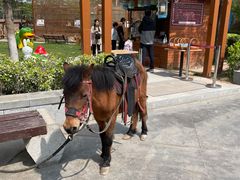 -郑州方特梦幻王国