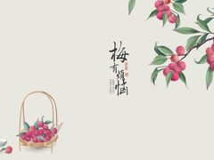 -泸溪河桃酥(江宁万居汇店)