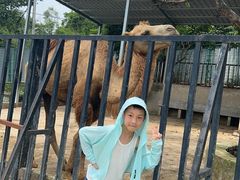 -泉州海丝野生动物世界