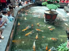 -唐山宴百姓府邸院落中餐