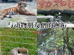 -南昌动物园