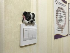-宠爱国际动物医院· 猫科· 外科·中兽医(长白店)