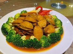 -百年银屏·蚝烙专门店(乐山店)