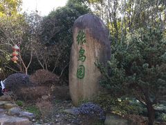 -张鸟园农家乐(张鸟园店)
