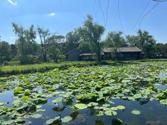 -承德避暑山庄景区