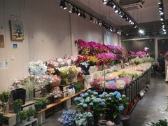 -溪岸路花鸟市场